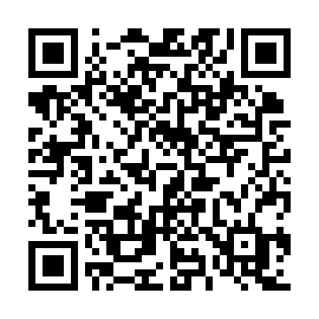 QR code for 493KRD