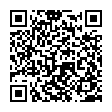 QR code for 493KRW