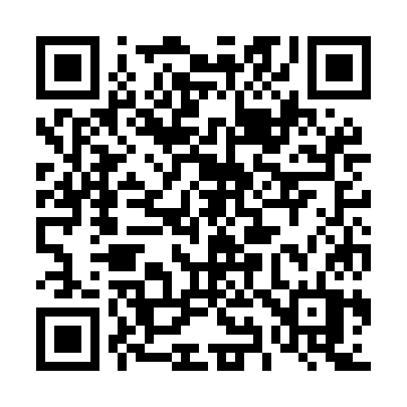 QR code for 493MKT