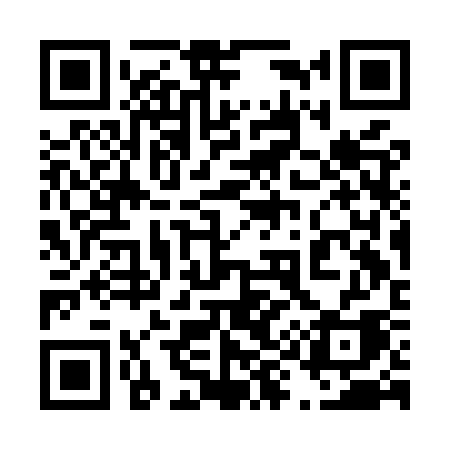 QR code for 493MSA