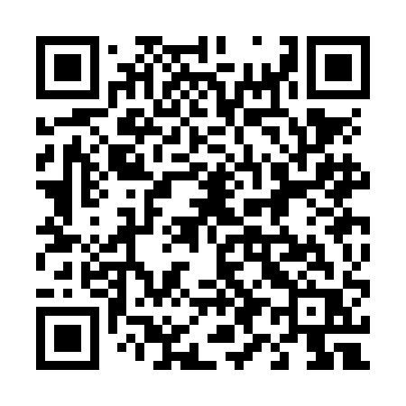 QR code for 493NAR