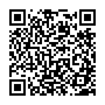 QR code for 493NLH