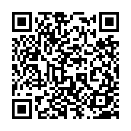 QR code for 493NTQ