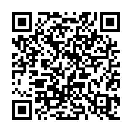 QR code for 493QDC