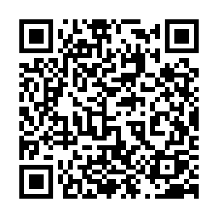QR code for 493QWQ