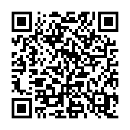 QR code for 493QZD