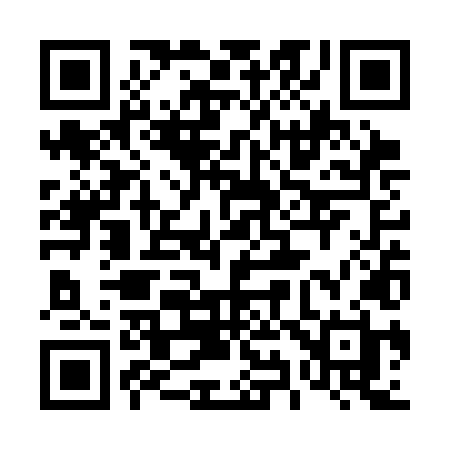 QR code for 493SLH