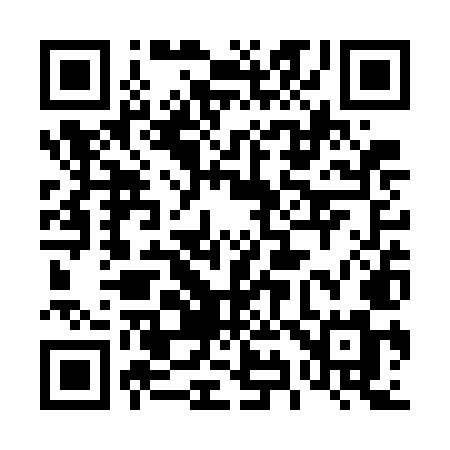 QR code for 493WMM