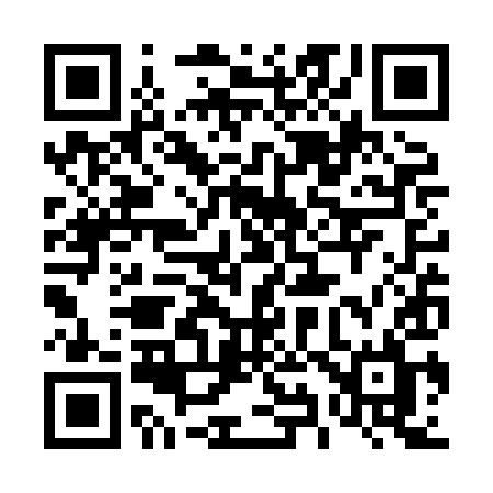 QR code for 493XIL