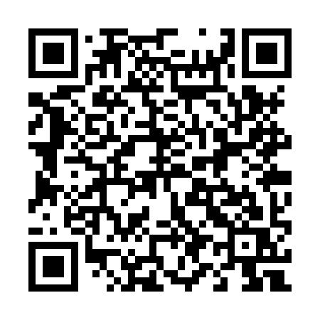 QR code for 493XYS