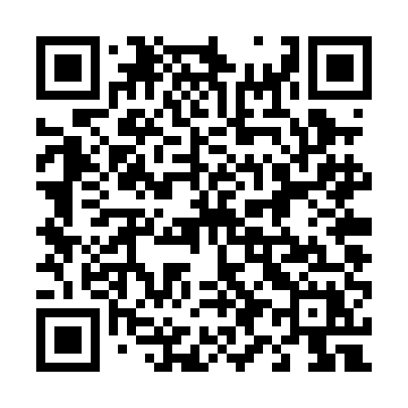 QR code for 494PEX