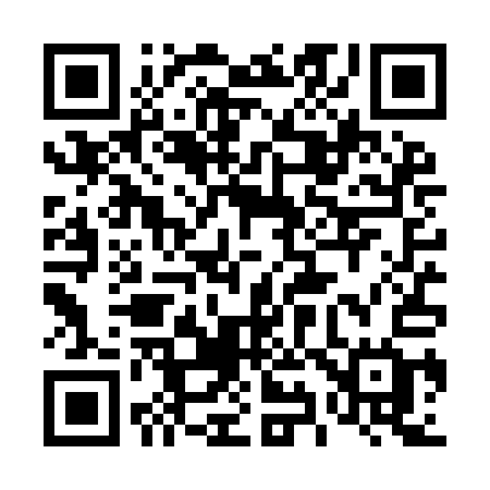 QR code for 494YAG
