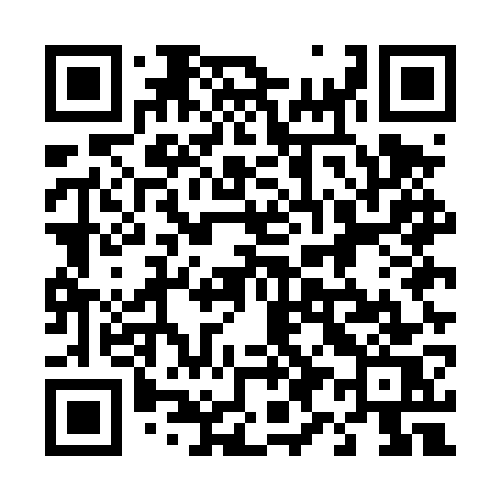 QR code for 495DWS
