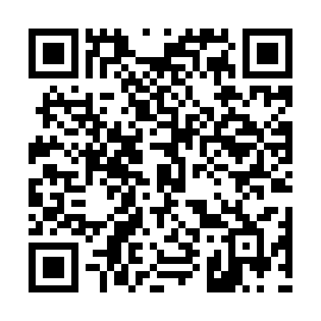 QR code for 498ICB