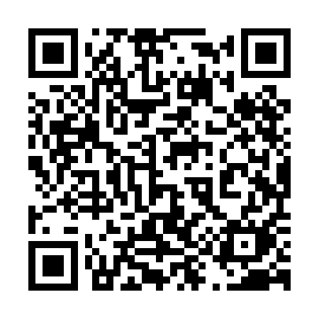 QR code for 498PAM