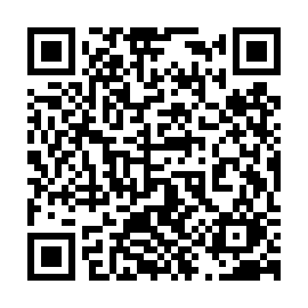 QR code for 499DSO