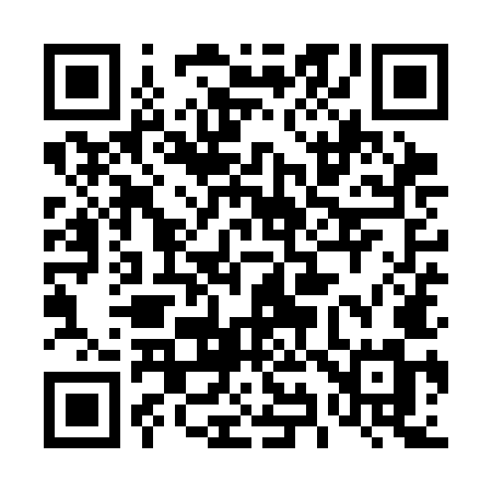 QR code for 499SMM