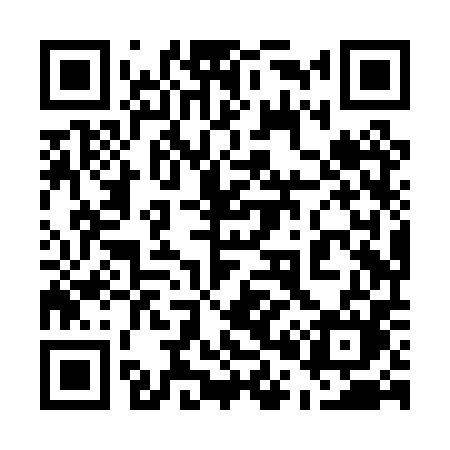 QR code for 508PPM