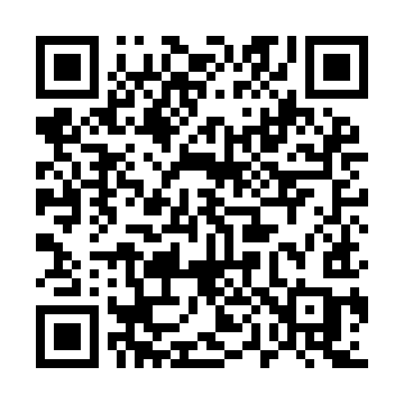 QR code for 509IIC