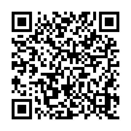 QR code for 509INZ