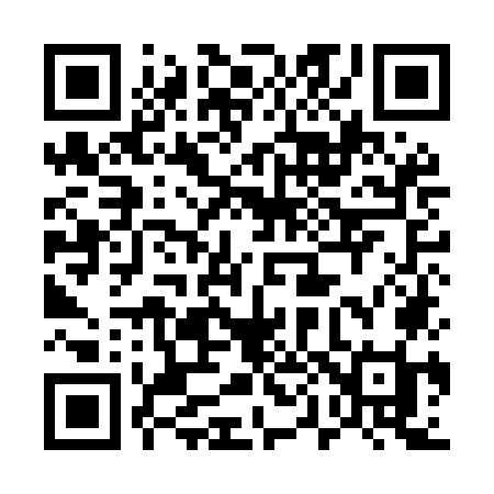 QR code for 509MOI