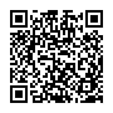 QR code for 511PUB