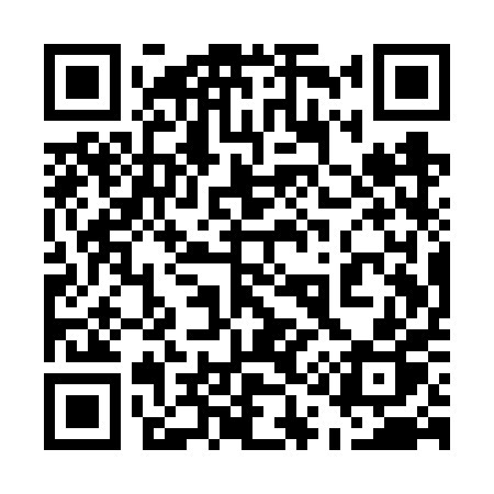 QR code for 511VPP