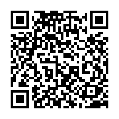 QR code for 519MEX