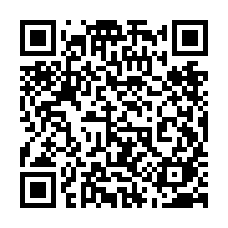 QR code for 519NIM