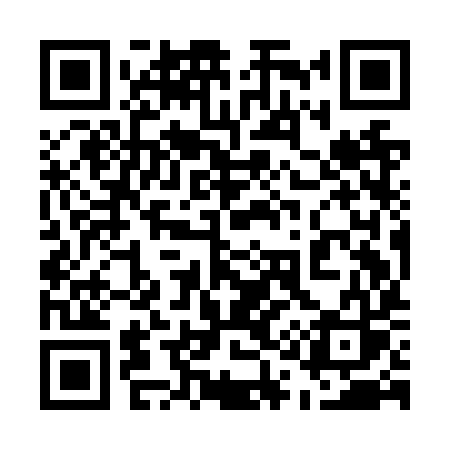 QR code for 519NYS