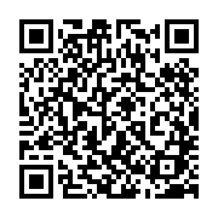 QR code for 523PLI