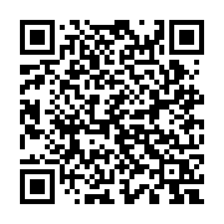 QR code for 533BOR