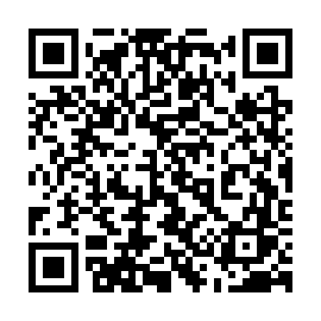 QR code for 533CVS