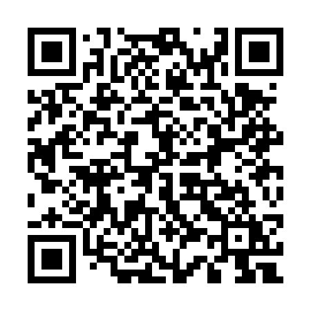 QR code for 533DSY