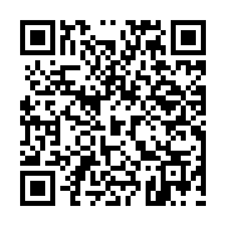 QR code for 533IGS