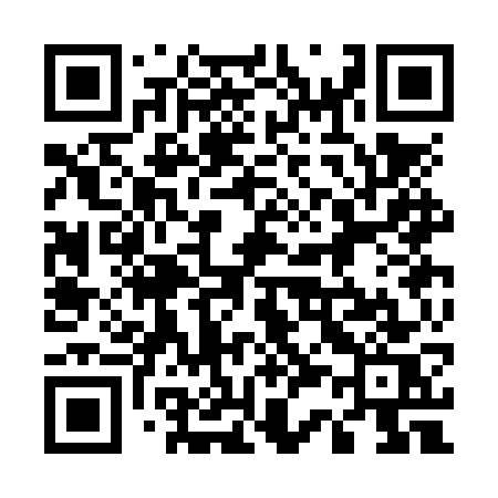 QR code for 533NWS
