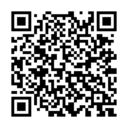 QR code for 533TIB
