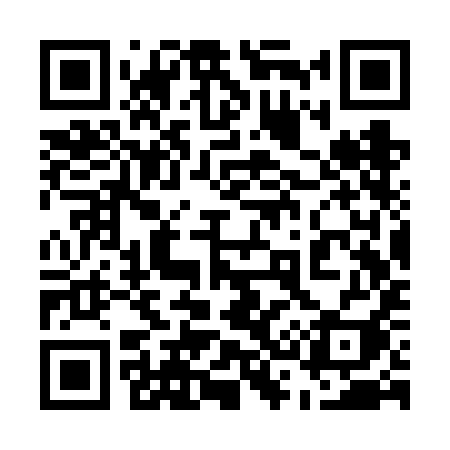 QR code for 533VII