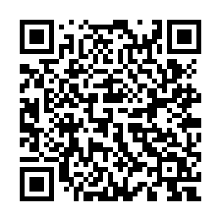 QR code for 533ZHT