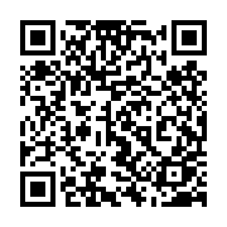 QR code for 538DPP