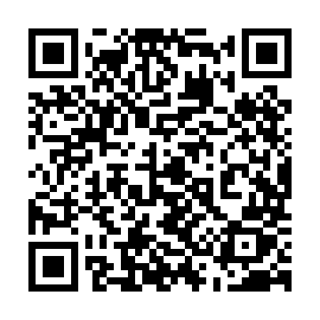QR code for 538PMZ