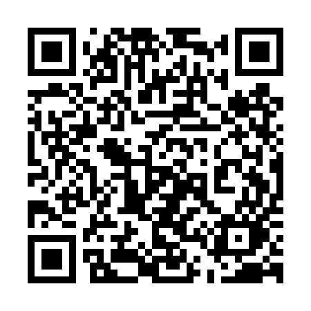 QR code for 541DUO