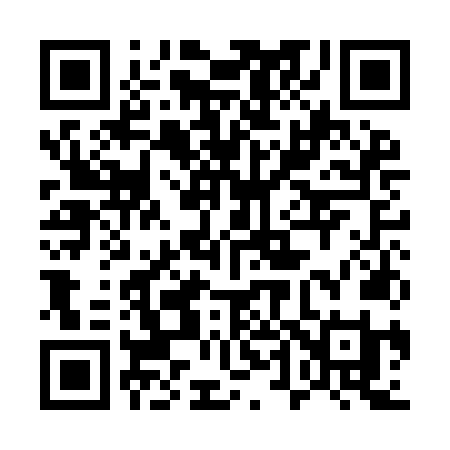 QR code for 541INI
