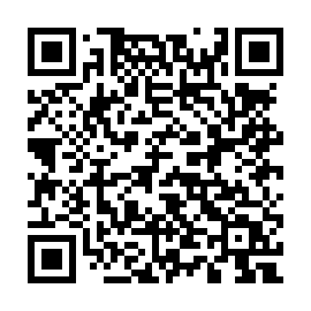 QR code for 541LUT