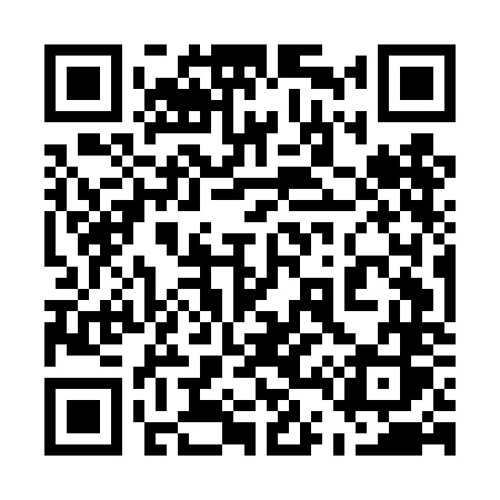 QR code for 545DNS