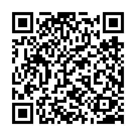 QR code for 550FRY
