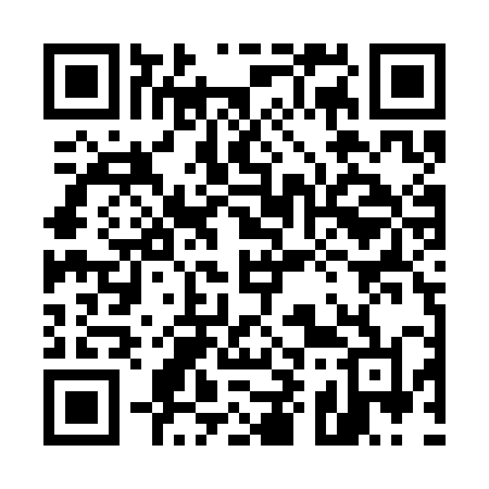 QR code for 595SML