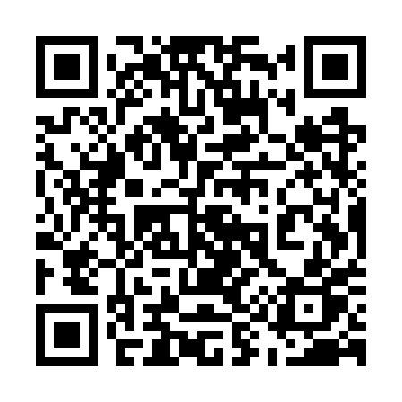 QR code for 595WPP