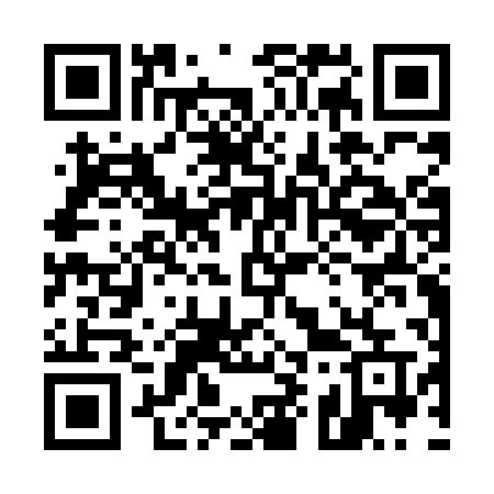 QR code for 597LPU