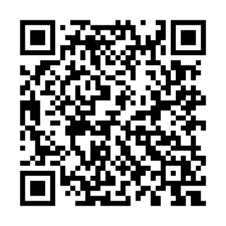QR code for 599MMX